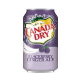 Canada Dry Blackberry Ginger Ale 355ml